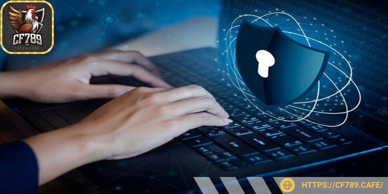 CF789 quản lý và xác thực tài khoản thành viên