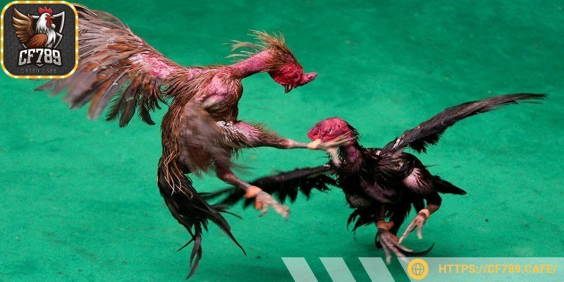 Trò chơi gây được ấn tượng mạnh nhờ sự tiện lợi