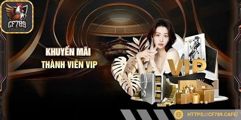Hội viên VIP sẽ được phân chia theo cấp độ khác nhau