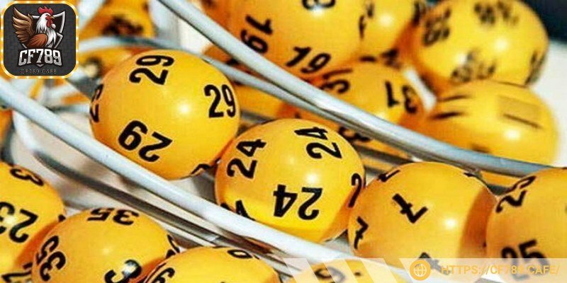 Bạn hãy học hỏi nhiều kinh nghiệm từ những thành viên khác